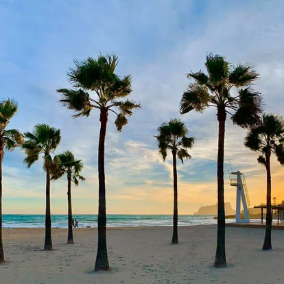 Playa con palmeras al atardecer